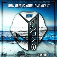 Calvin Harris x Disciples Vs Jason Risk x L Turner - How Deep Is Your Love Kick It (Da Sylva Mashup)