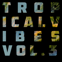 Tropical Vibes Vol. 3