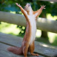 the wake up call with grauchi #72 sunday kenyan gospel mix