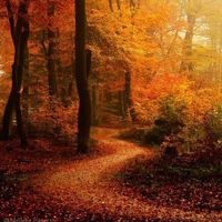 GloBeat Autumn Songs