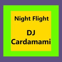 Night Flight 005: DJ Cardamami