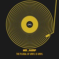 The Plural of Vinyl is Vinyl