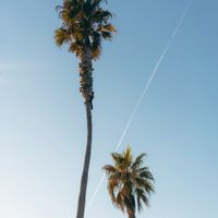 PP61 // Poolside with Kerttu Sylvia // 27.07.21