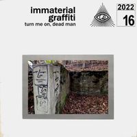 2022.16 Immaterial Graffiti