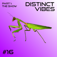 Distinct Vibes #16 Part One