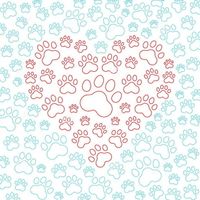 cloudcast image