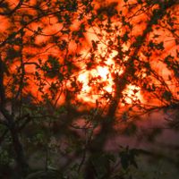 Silently we dance the dance of chaos in the rhythm of sunset.