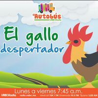 Audio gallo despertador sale