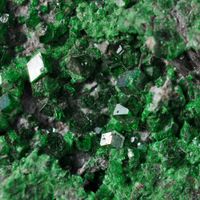 supergreen
