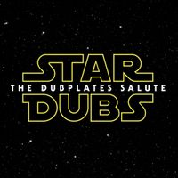STAR DUBS - The Dubplates Salute - Promo Mix - Mixed by Daddy Brady + Big Hair