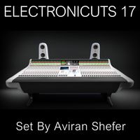 Electronicuts 17