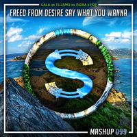 Gala vs Tujamo vs Indra x Pop - Freed From Desire Say What You Wanna (Da Sylva mashup)