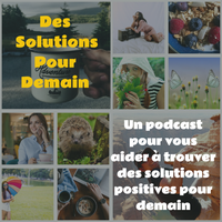 Des Solutions Pour Demain 002 : Le cycle autour de l'arbre ou comment revisiter notre lien à l'arbre
