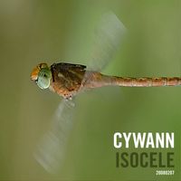 cywann - Isocele