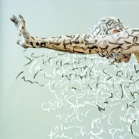 cloudcast image