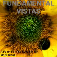 Fundamental Vistas