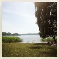 ggut 's summerset