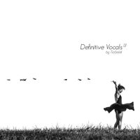 Definitive Vocals Vol. 13