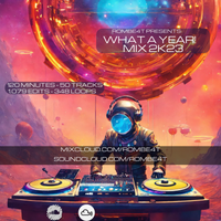 What A Year! Mix - Party Music Only