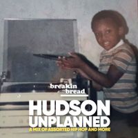 Hudson Unplanned