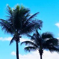 The Retro Cocktail Hour #1008 - November 18, 2023
