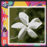 Ahmet Güneş's Summer 2011 Selection