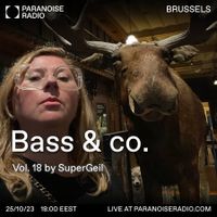 Bass & Co. #18 - Supergeil