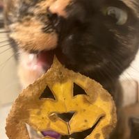 10. Halloween 2023 // Second Wind with Miranda Harp // Radio 1190 10-30-2023
