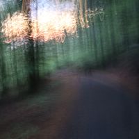 “In new surroundings, one grows new eyes.”― Marty Rubin