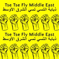 Tse Tse Fly Middle East - Wednesday 1st November 2017