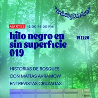 Sin Superficie #019 / 15 diciembre 2020 / Entrevista Cruzada a Hilo Negro