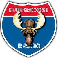 Bluesmoose 1776-28-2022