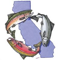 North Coast Experts Talk Water For Fish And People