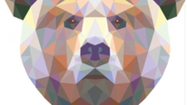 Bear Essentials - 22.11.2023 - Now Available