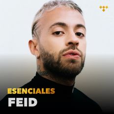 FEID-Feliz Cumpleanos KiddXXB ((The Hits))