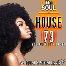 The Soul of House Vol. 73 (Soulful House Dj Set)