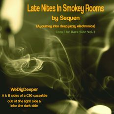 Late Night In Smokey Rooms- Into The Dark Side (Volume 2) WeDigDeeper Sessions