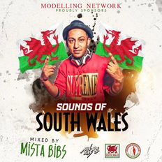 Mista Bibs & Modelling Network - Sounds Of South Wales (Dance Gym Workout Mix)