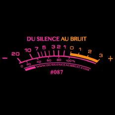 Du Silence Au Bruit #087