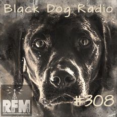 A Few Tunes with Black Dog Radio #308 (21-01-23)