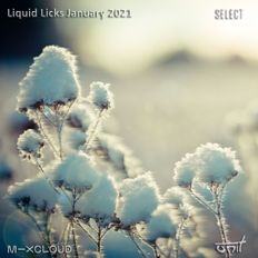 Liquid Licks - January 2021 (Select)