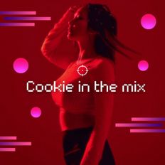 COOKIE IN THE MIX VOL.19