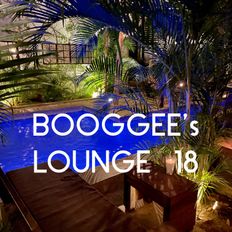 Booggee's Lounge 18