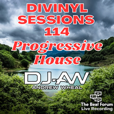 Divinyl Sessions #114 - Progressive House