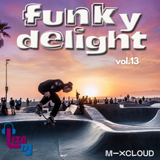 funky delight vol.13