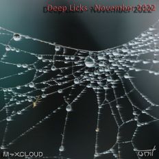 Deep Licks - November 2022