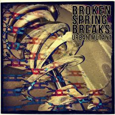 Broken Spring Breaks