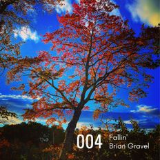 Fallin' 004 mixed by Brian Gravel