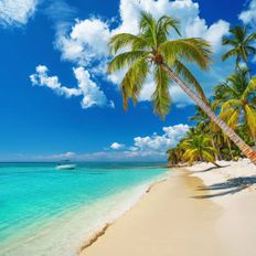 Chilled/Jazzier Elements Selection 2