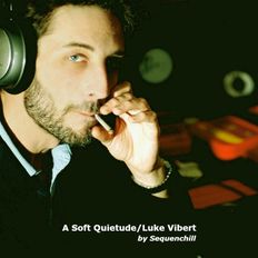A Soft Quietude/Luke Vibert